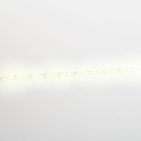 String Light - Image 5